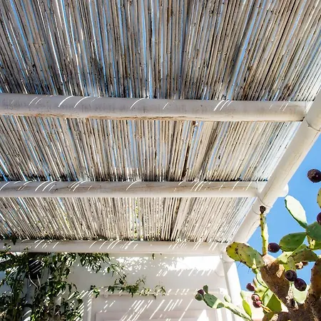 Casa Dorsi Polignano a Mare