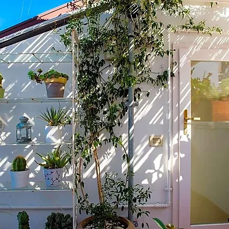 Casa Dorsi 4*