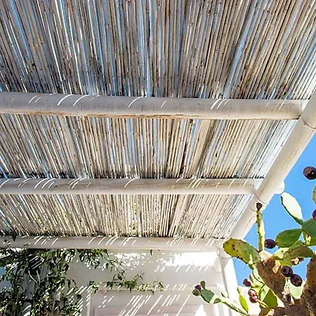 Casa Dorsi 4*